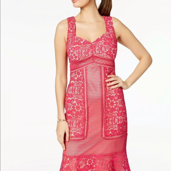 JAX black label pink lace dress - Picture 1 of 3